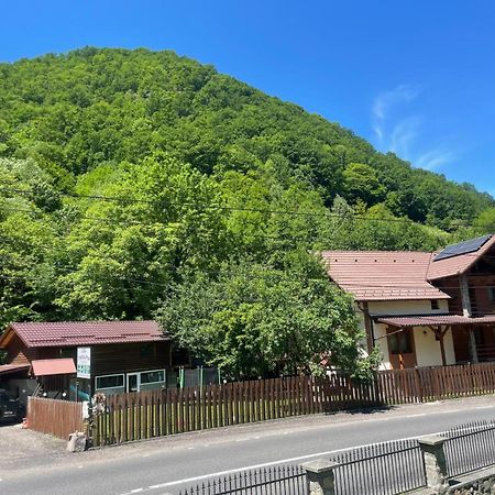 Şugag Pensiunea Casa Transalpina מראה חיצוני תמונה