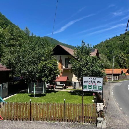 Şugag Pensiunea Casa Transalpina חדר תמונה