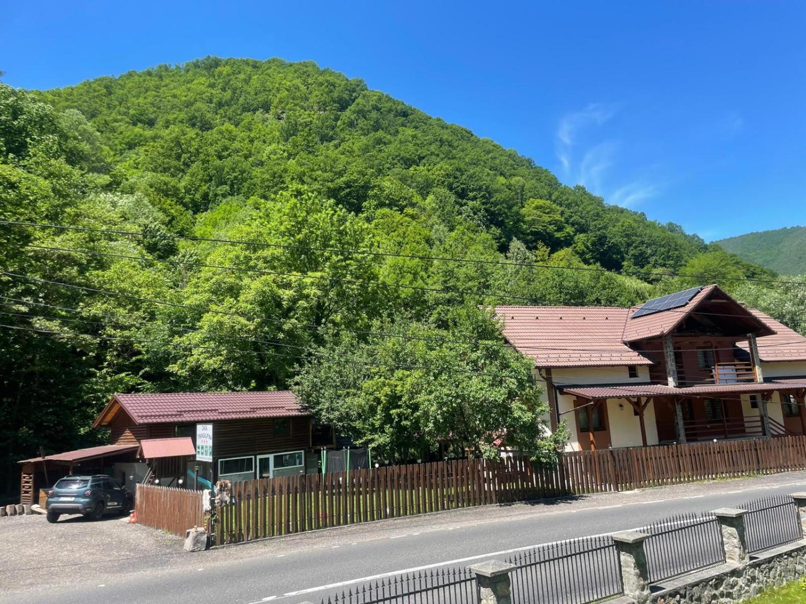 Şugag Pensiunea Casa Transalpina מראה חיצוני תמונה